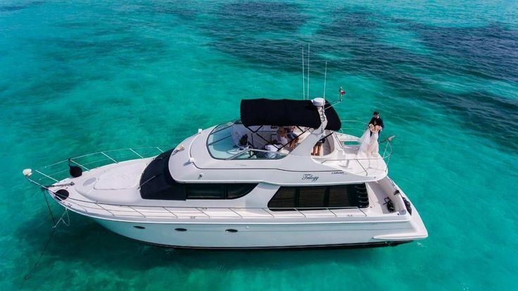 Máxima Amplitud y Confort Premium: La Experiencia Carver 55