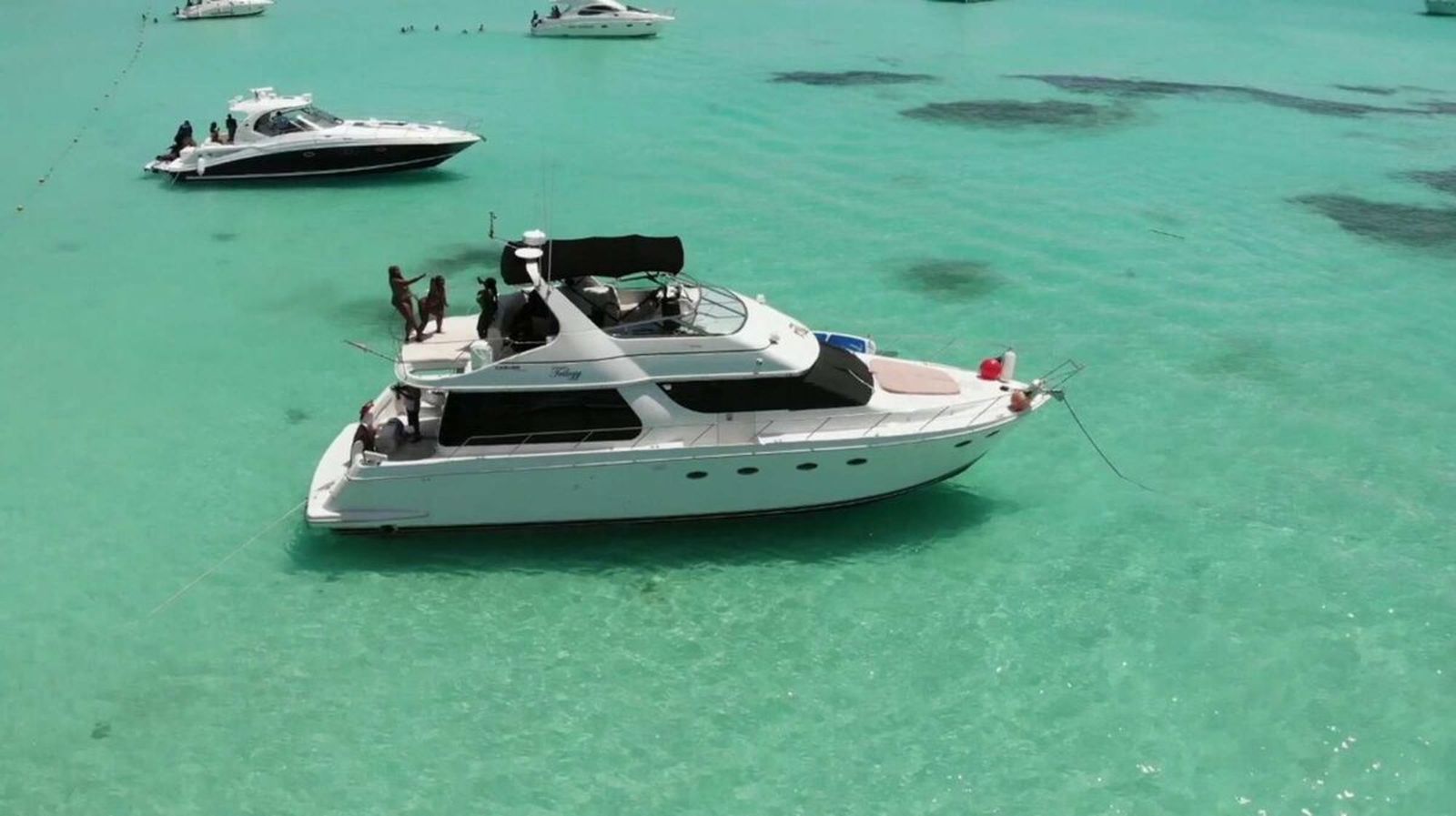 Máxima Amplitud y Confort Premium: La Experiencia Carver 55