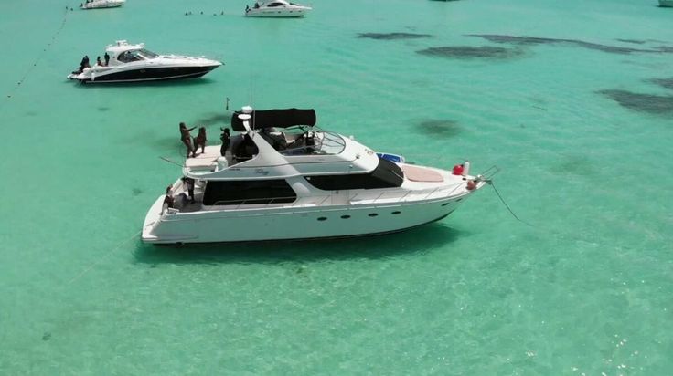 Máxima Amplitud y Confort Premium: La Experiencia Carver 55