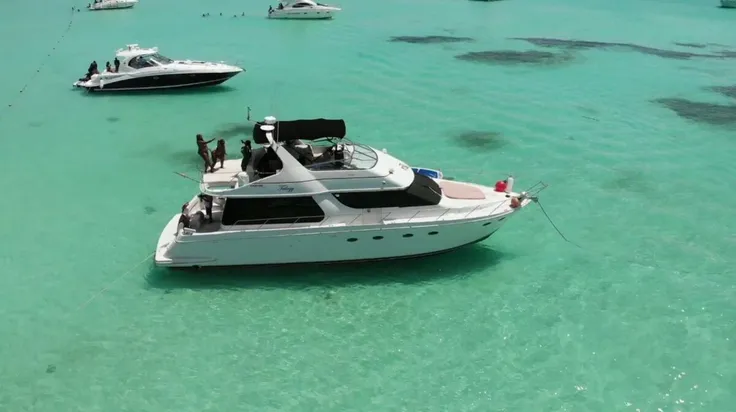 Máxima Amplitud y Confort Premium: La Experiencia Carver 55